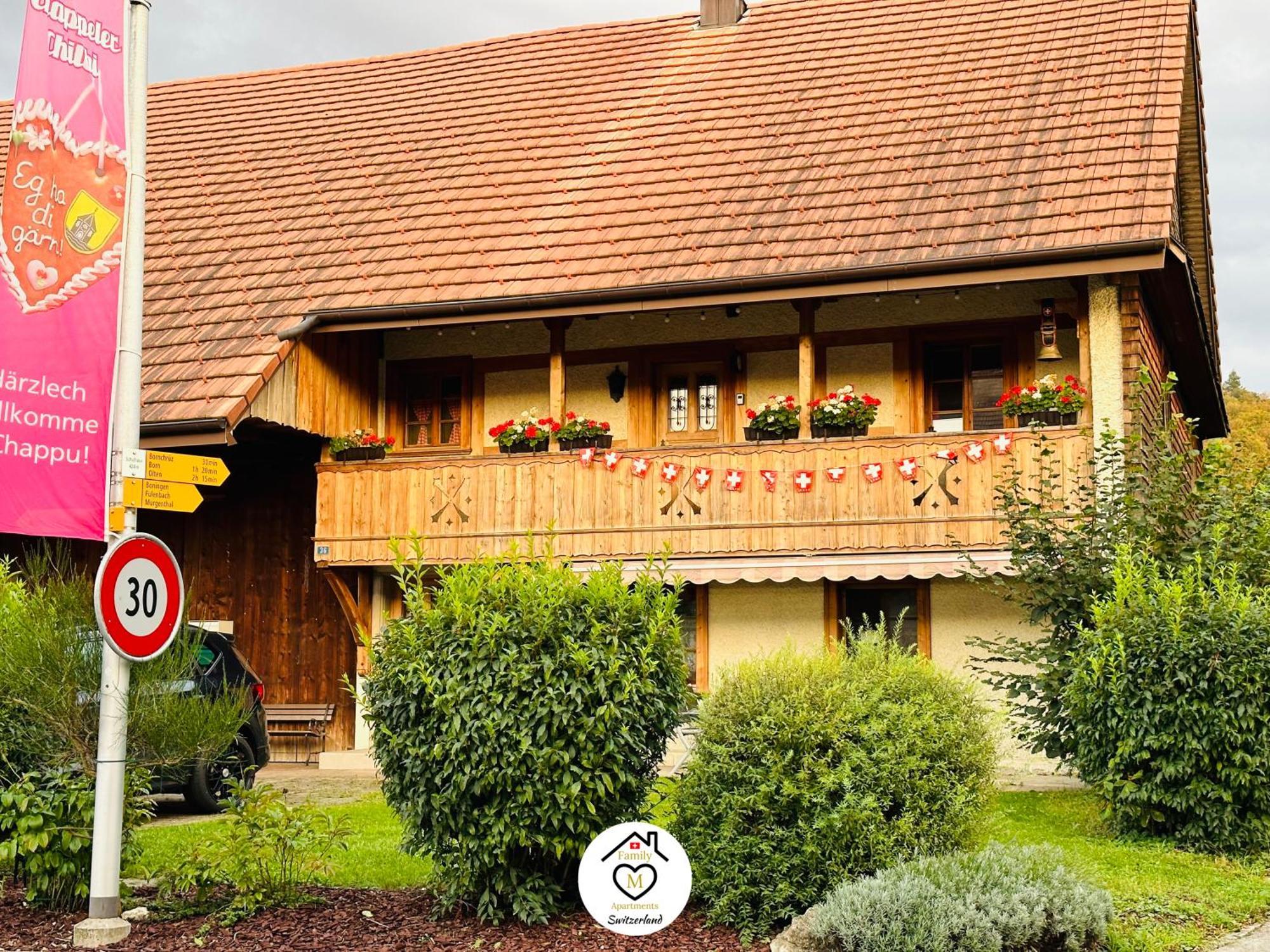 Family M Apartments 15 Kappel bei Olten Εξωτερικό φωτογραφία